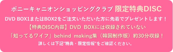 知ってるワイフ＜韓国放送版＞ DVD-BOX1|ムビきゃん ポニーキャニオン